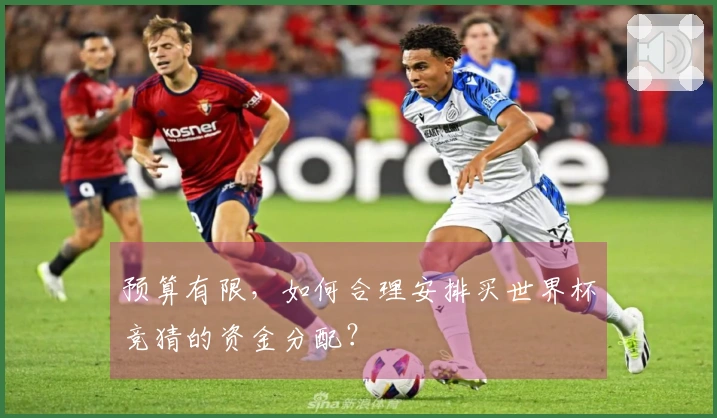 预算有限，如何合理安排买世界杯竞猜的资金分配？