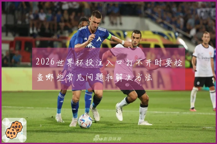 2026世界杯投注入口打不开时要检查哪些常见问题和解决方法