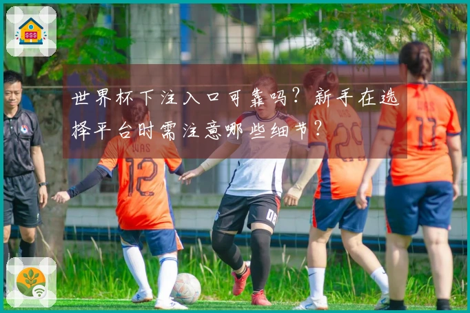 世界杯下注入口可靠吗?新手在选择平台时需注意哪些细节?