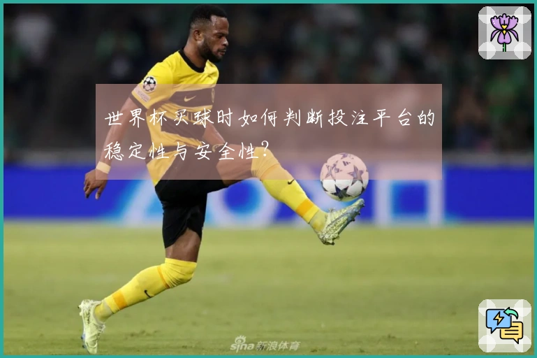 世界杯买球时如何判断投注平台的稳定性与安全性？