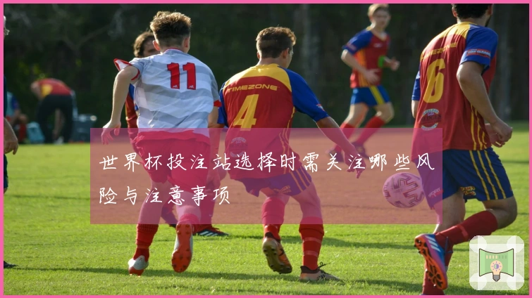 世界杯投注站选择时需关注哪些风险与注意事项