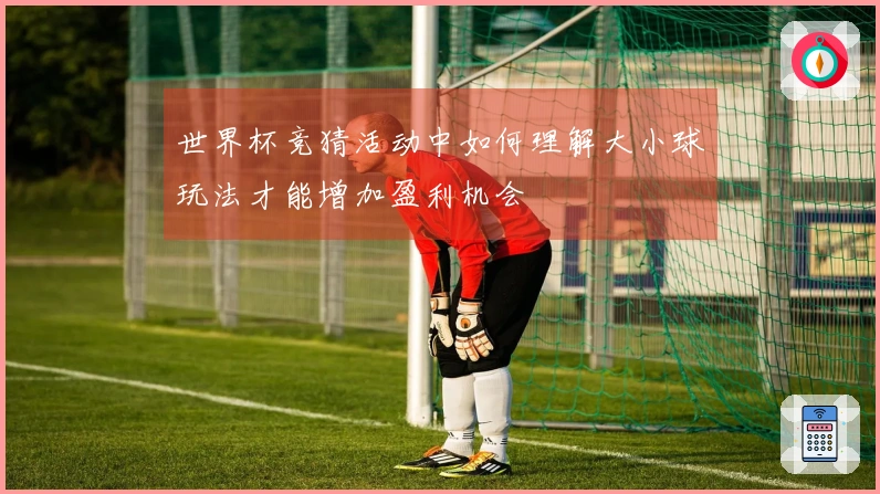 世界杯竞猜活动中如何理解大小球玩法才能增加盈利机会