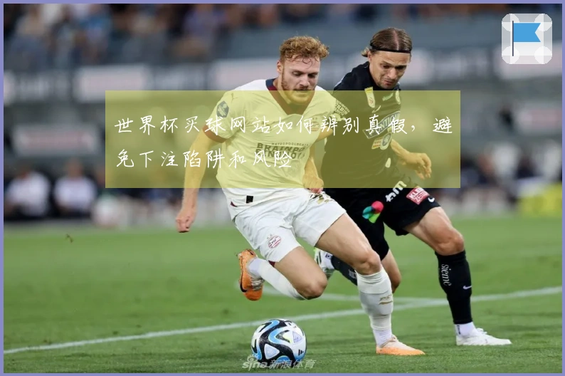 世界杯买球网站如何辨别真假,避免下注陷阱和风险