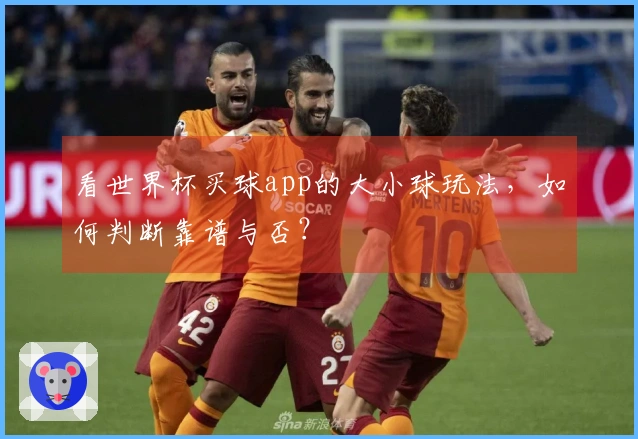 看世界杯买球app的大小球玩法，如何判断靠谱与否？