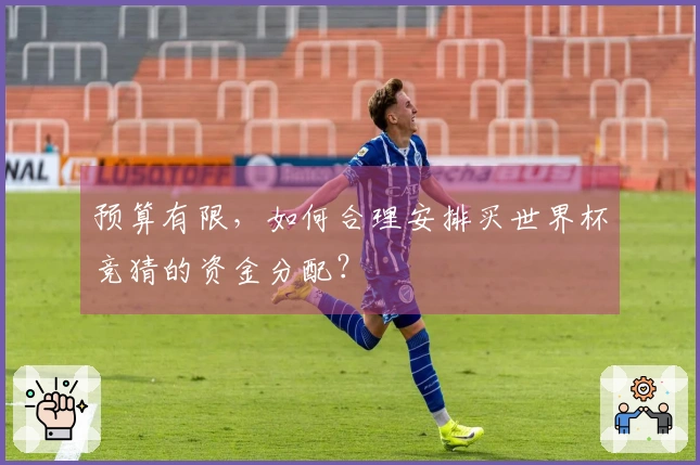 预算有限,如何合理安排买世界杯竞猜的资金分配?