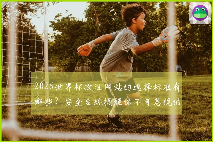 2026世界杯投注网站的选择标准有哪些？安全合规提醒你不可忽视的细节