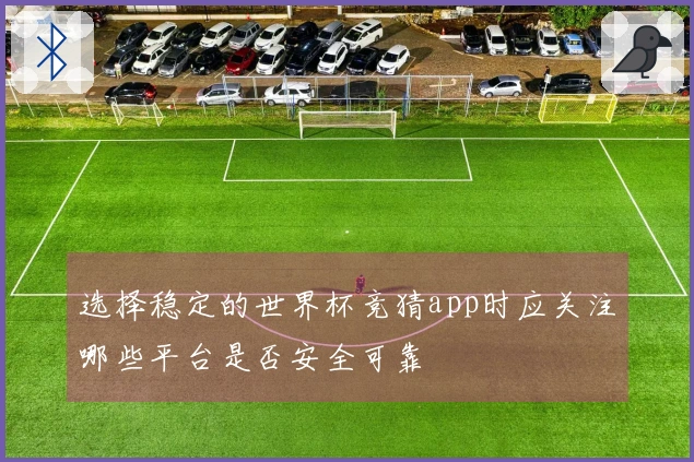 选择稳定的世界杯竞猜app时应关注哪些平台是否安全可靠