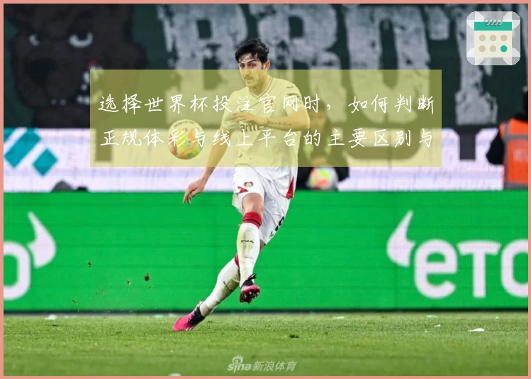 选择世界杯投注官网时，如何判断正规体彩与线上平台的主要区别与注意事项？