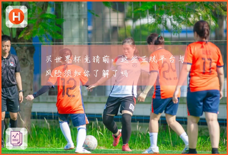 买世界杯竞猜前，这些正规平台与风险须知你了解了吗