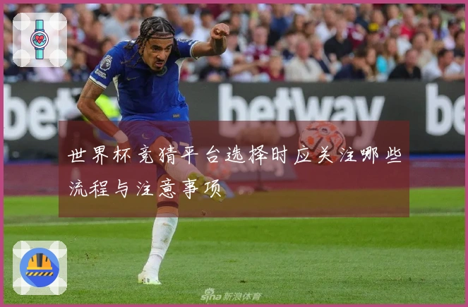 世界杯竞猜平台选择时应关注哪些流程与注意事项