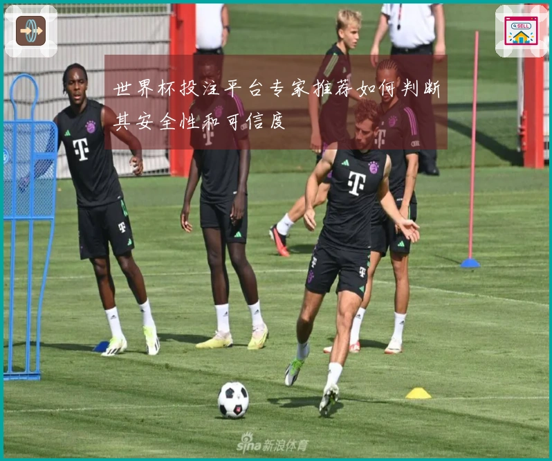 世界杯投注平台专家推荐如何判断其安全性和可信度