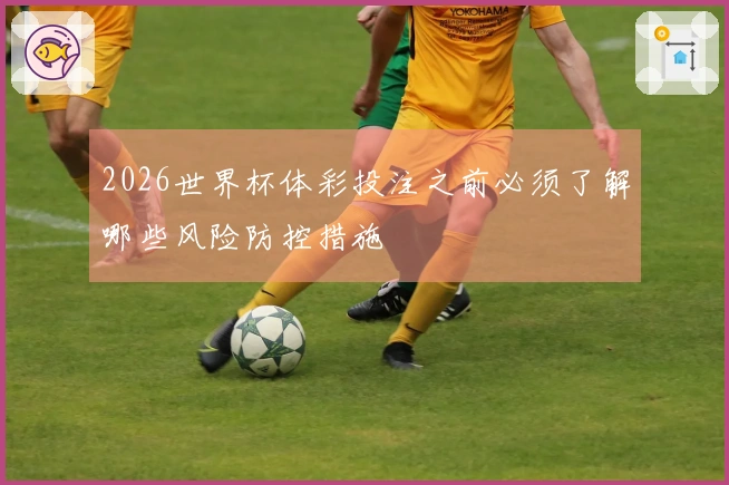 2026世界杯体彩投注之前必须了解哪些风险防控措施
