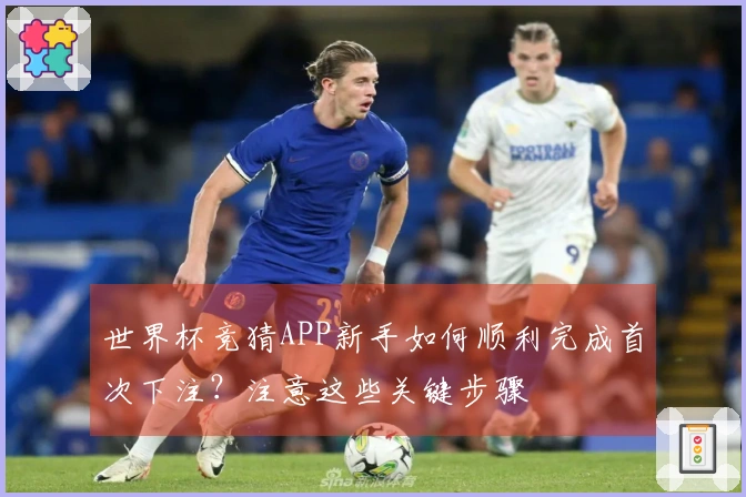 世界杯竞猜APP新手如何顺利完成首次下注?注意这些关键步骤