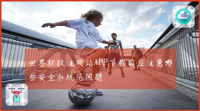 世界杯投注网站APP下载前应注意哪些安全和规范问题