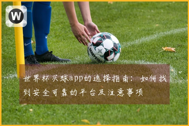 世界杯买球app的选择指南：如何找到安全可靠的平台及注意事项