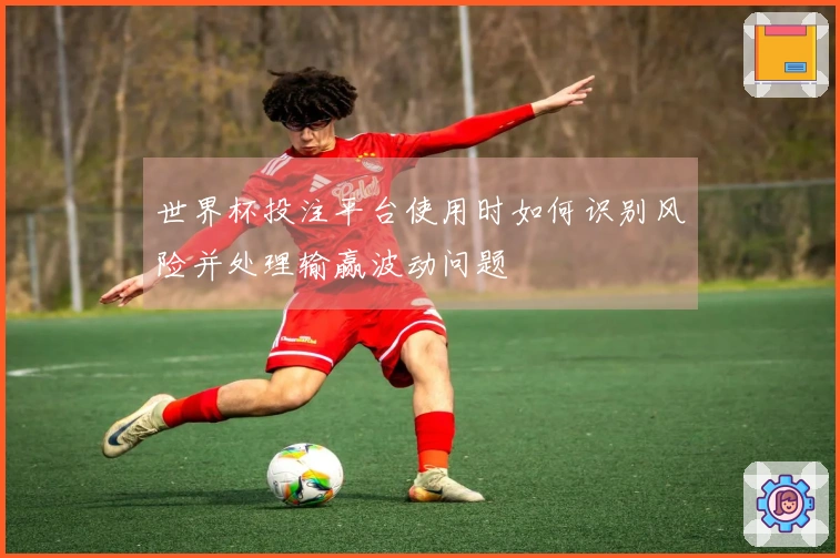 世界杯投注平台使用时如何识别风险并处理输赢波动问题