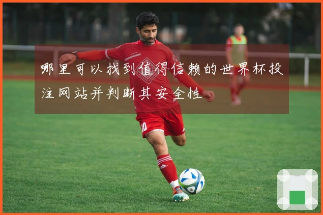 哪里可以找到值得信赖的世界杯投注网站并判断其安全性