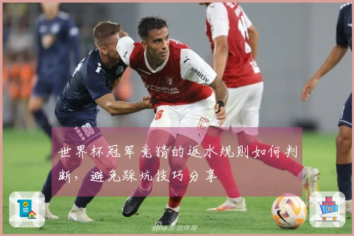 世界杯冠军竞猜的返水规则如何判断，避免踩坑技巧分享