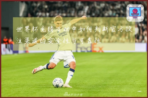 世界杯竞猜活动中如何判断官方投注渠道的安全性与可靠性