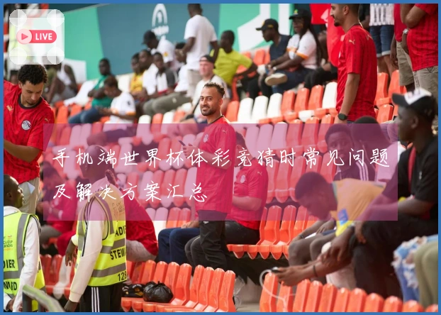 手机端世界杯体彩竞猜时常见问题及解决方案汇总