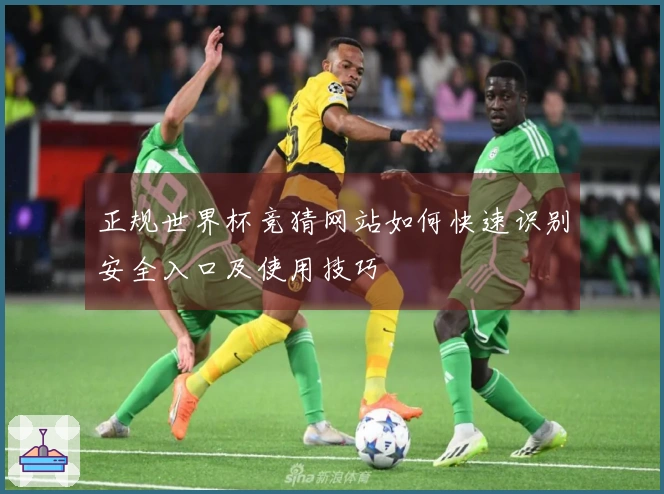 正规世界杯竞猜网站如何快速识别安全入口及使用技巧