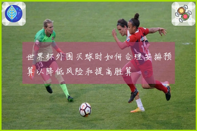 世界杯外围买球时如何合理安排预算以降低风险和提高胜算
