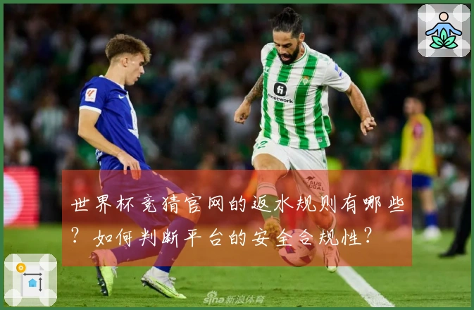 世界杯竞猜官网的返水规则有哪些？如何判断平台的安全合规性？