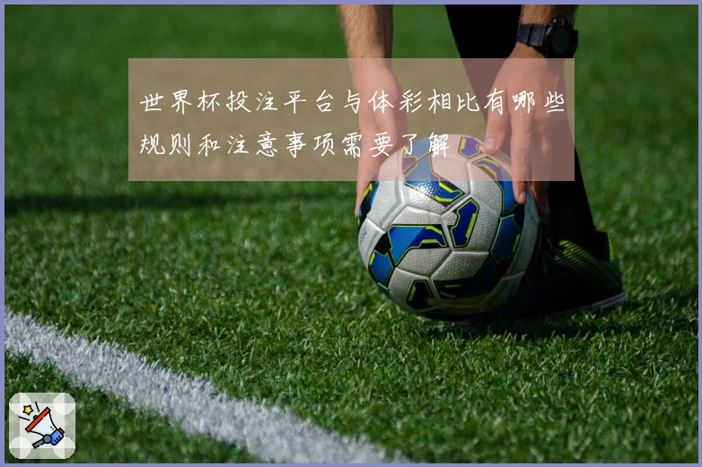 世界杯投注平台与体彩相比有哪些规则和注意事项需要了解