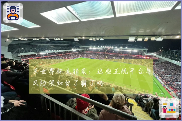 买世界杯竞猜前，这些正规平台与风险须知你了解了吗