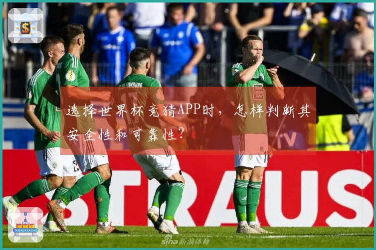 选择世界杯竞猜APP时，怎样判断其安全性和可靠性？