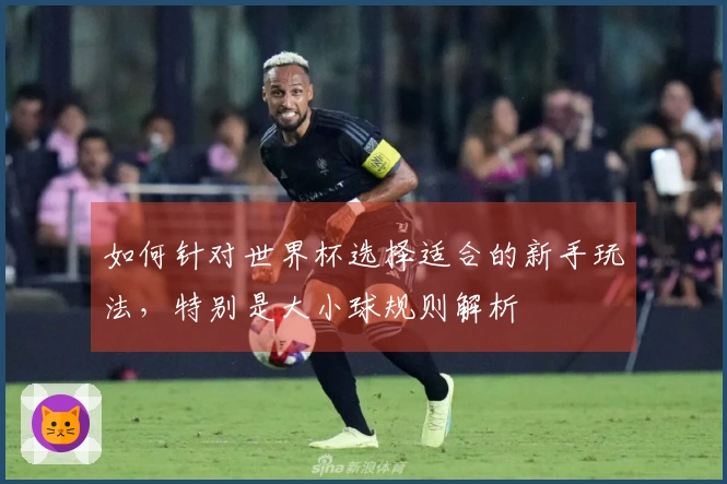 如何针对世界杯选择适合的新手玩法，特别是大小球规则解析