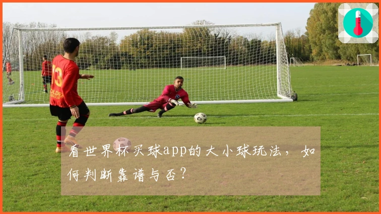 看世界杯买球app的大小球玩法，如何判断靠谱与否？