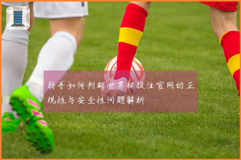 新手如何判断世界杯投注官网的正规性与安全性问题解析