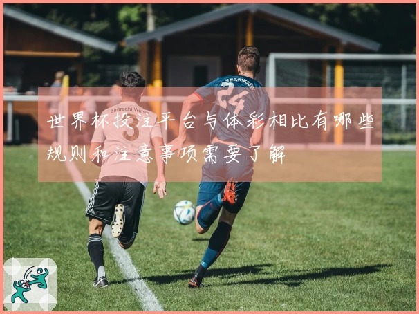 世界杯投注平台与体彩相比有哪些规则和注意事项需要了解