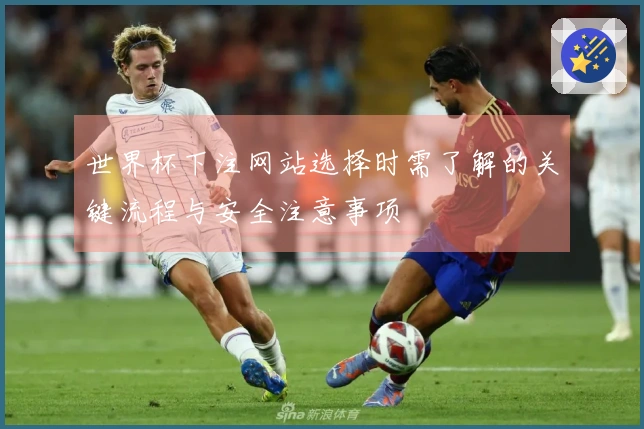 世界杯下注网站选择时需了解的关键流程与安全注意事项